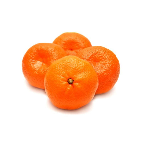 Fresh Imported Indigo Tangerines at zucchini